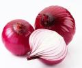 Stop eating onions, SC tells petitioner