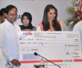 'Sania was picked as ambassador to please Muslim voters'