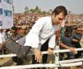 Congress 'primary': Another exercise in failure for Rahul Gandhi?