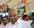 Did Sharad Pawar just encourage bogus voting?