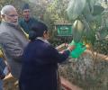 Modi plants Banyan tree sapling at SAARC retreat resort