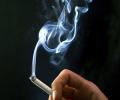 BJP MP says 60 cigarettes a day didn't kill someone he knows; sparks fresh row