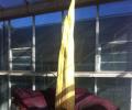 Rare 'Corpse Flower' blooms in Australia