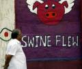 Swine flu claims 20 more lives, toll rises to 2,064