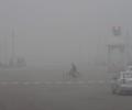 Cold wave hits North India; fog disrupts normal life