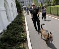 Parts of White House evacuated after bomb threat