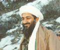 Osama tested chemical weapons on my dogs, claims son