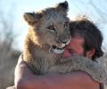 Meet the lion hugger