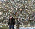 Easter Bunny cometh: German couple decorates tree with 10,000 eggs!