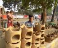 The Muslims behind Chhath devotees' stoves