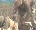 J-K: CRPF recovers 5-kg IED near Srinagar