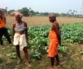 'India Is Becoming Super India And Bharat Is Becoming Like Somalia'