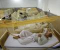 Delhi dengue toll rises, govt to crack whip on hospitals that refuse patients