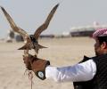 UAE Deputy PM's bustard hunting convoy attacked in Pak
