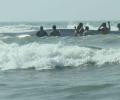 A whale of a rescue: Officials take 12 hours to save giant mammal