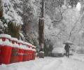 PHOTOS: Shimla turns snow white!