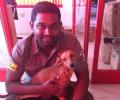 Dog flung off terrace found alive in Chennai; accused get bail