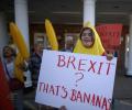 'Brexit' beats 'Trumpism' to be word of the year