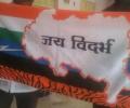Activists hoist 'Vidarbha flag' in Nagpur to intensify movement