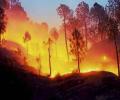 Summer fires in Himachal Pradesh forests under control