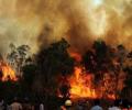 Time to make our forests fire-proof