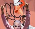 Dynasts to firebrands in BJP's list