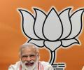After Maharashtra, BJP sweeps elections to Gujarat local bodies