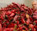 Too hot to handle! American left with hole in throat after eating red chilli