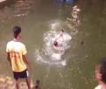 SHOCKING: 4 youth try to drown cop during Ganesh immersion