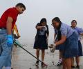 After the immersion, Mumbaikars join hands to clean beaches