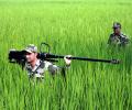 Search op in 12 villages near Indo-Pak border