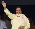 Will bizman brother be Mayawati's successor?