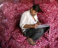 Onion prices may decline by half in 2 weeks