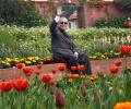 Have a 'blooming' time at Rashtrapati Bhavan