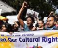 Jallikattu: 'Tamil rights, not pride, have been hurt'