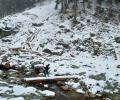 PHOTOS: Jammu and Kashmir receives season's first snowfall