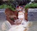 Canal wall collapses hours before Nitish was to inaugurate scheme