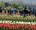 Tulip garden mesmerizes locals, holiday makers