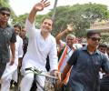 Rahul rides bicycle, bullock cart to protest against petrol price
