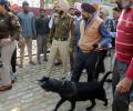 3 killed in grenade attack in Amritsar, cops say 'terrorist act'