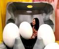 Believe it... This 'museum' is dedicated to eggs