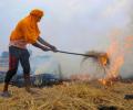 Why stubble burning will continue to choke NCR