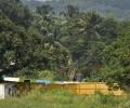 600-acre Aarey land near national park earmarked as forest