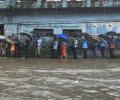 Mangroves destruction to blame for flooding of Mumbai: Experts