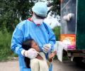 COVID cases increasingly reported from rural areas: Experts