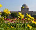 Mughal Gardens to close amid coronavirus outbreak