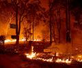 Bushfires: Can we all work on climate reversal, pleads Ashwin