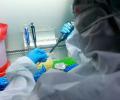 India reports 6 cases of UK coronavirus strain