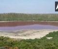 Maharashtra's Lonar lake turns pink; experts surprised