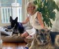 DOTUS-elect: The future US first dogs, Champ and Major Biden